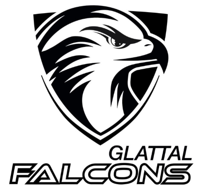 Falcons